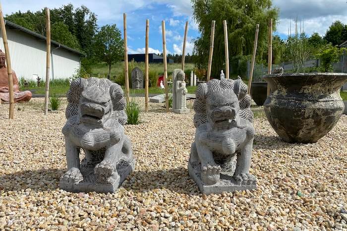 Asiatische-Wachterlowen