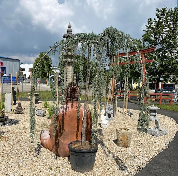 Buddha-unter-Baum