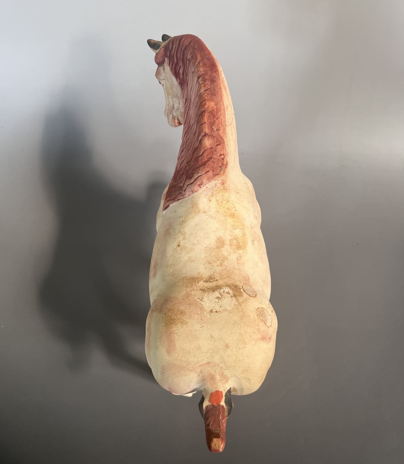 China Tang Pferd aus Terrakotta, aus Sammlernachlaß