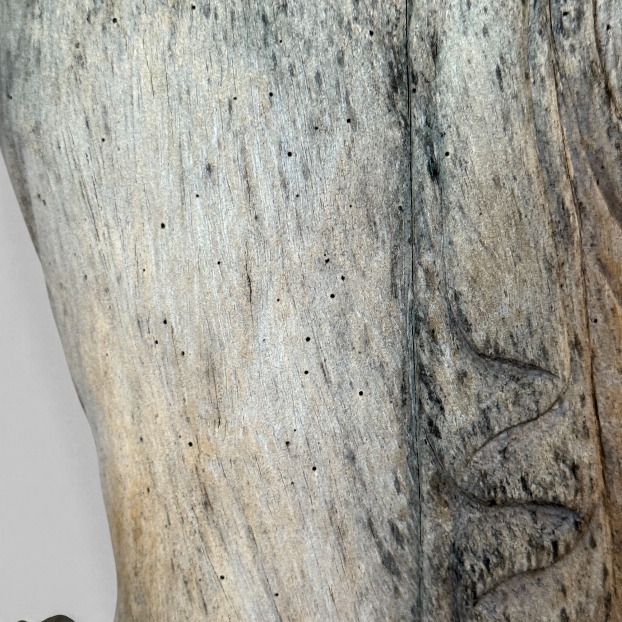 Ruhende Buddha Figur aus Suar Holz - 42 cm groß